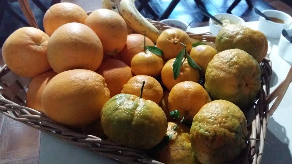 Pousada Três Coroas Eksteriør bilde